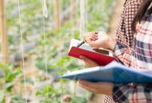 Calendário de Plantio