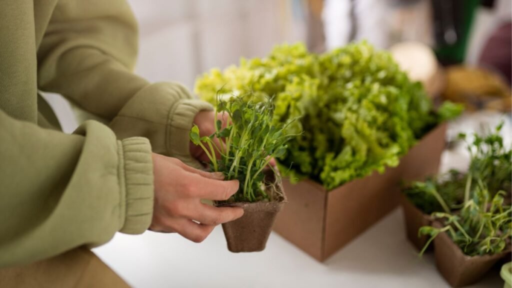 Como criar uma horta em apartamento