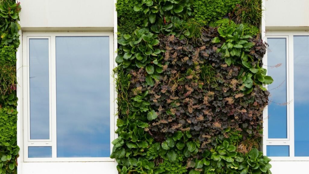 Cuidados essenciais para manter seu jardim vertical saudável