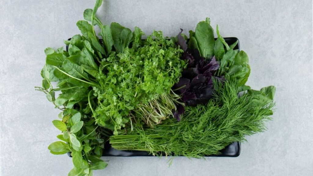 Dicas Práticas para Sucesso no Plantio