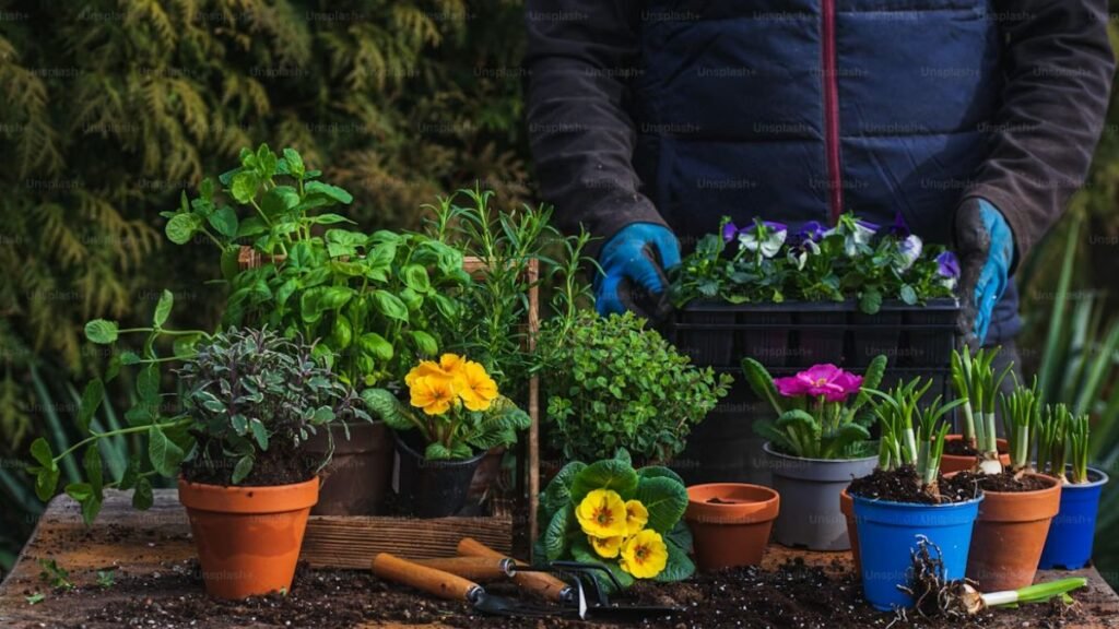 Escolhendo as Plantas Certas Para Seu Jardim