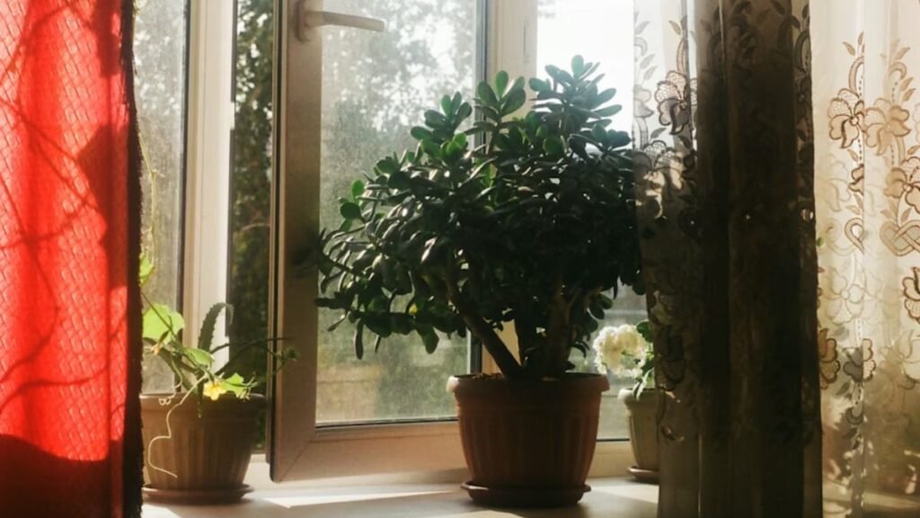 Luz Natural Maximize o Aproveitamento