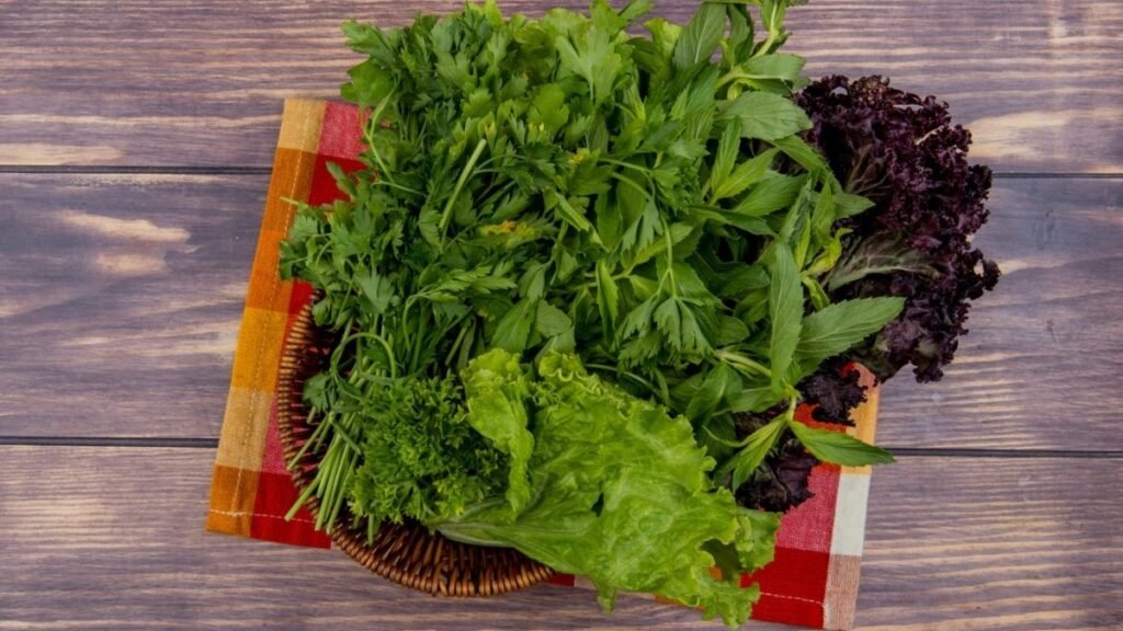 Plantio de Outono Preparando para o Frio