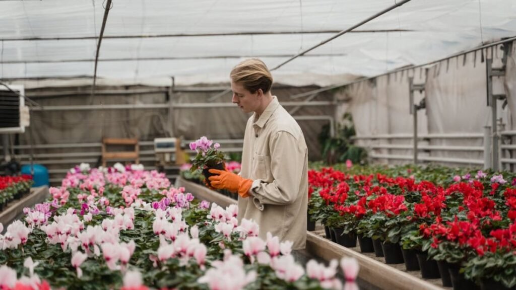 Propagação de Plantas Multiplique Seu Jardim