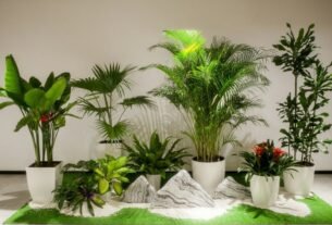 Plantas na decoração