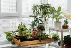 Horta em apartamento