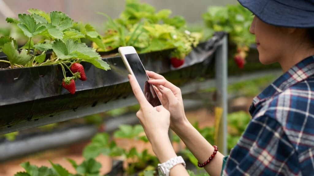 Custo-benefício vale a pena investir em irrigação inteligente