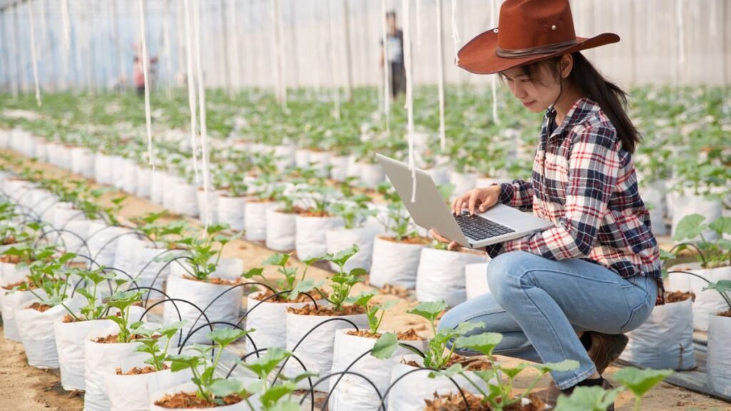 Erros comuns ao implementar irrigação automatizada