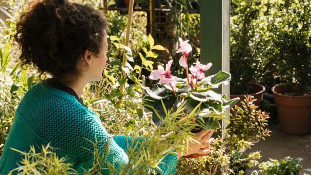 Luminosidade no jardim 